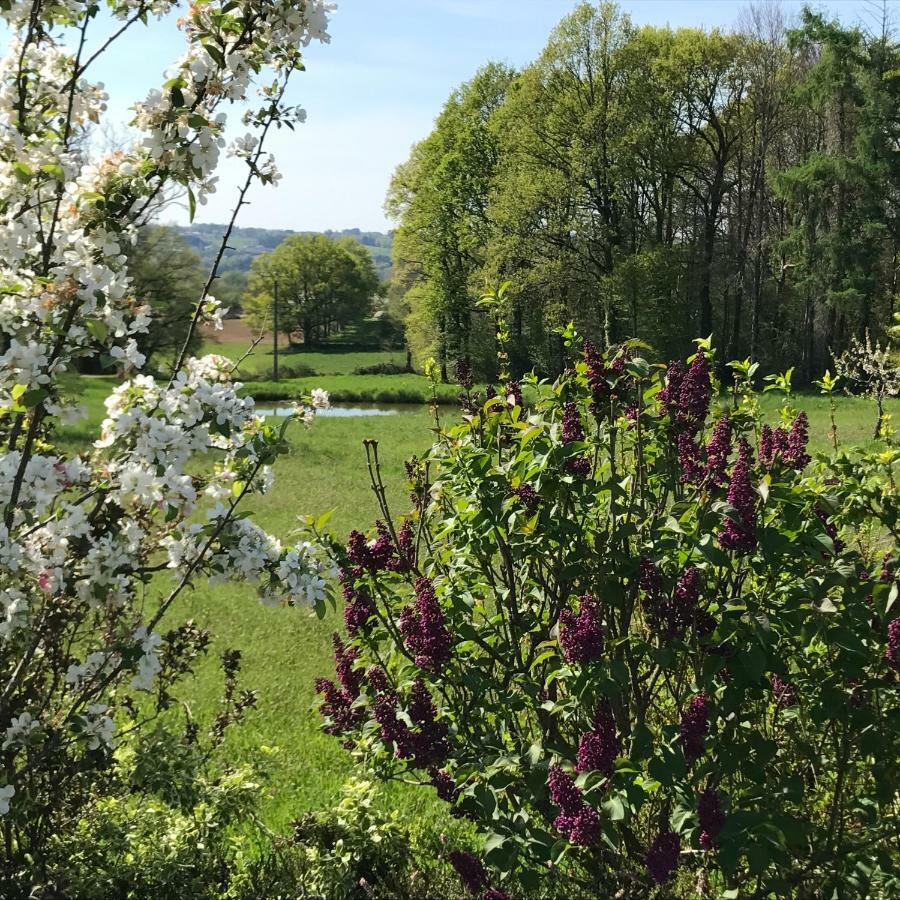 Bed and Breakfast Escale En Correze Sadroc Exterior foto